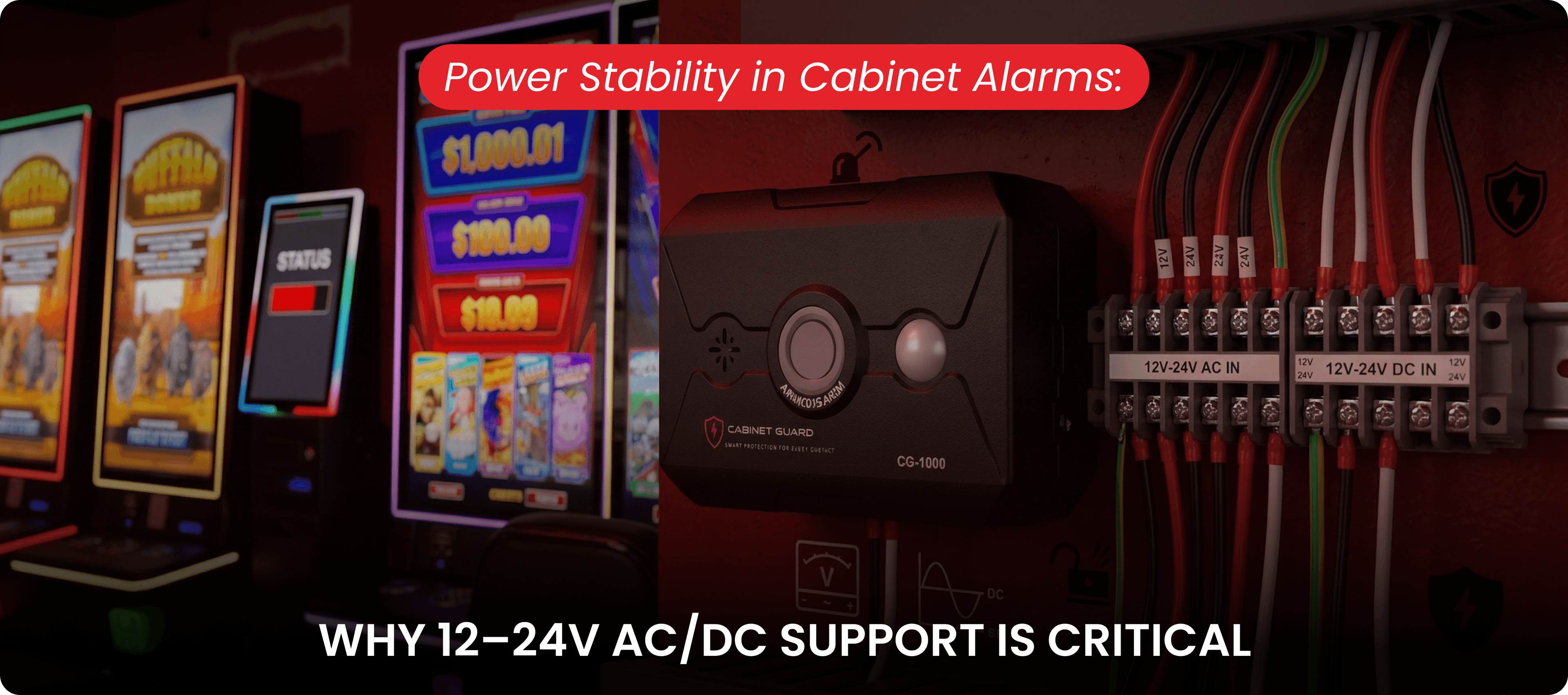 Cabinet Guard CG-1000 installed next to skill game terminal block showing 12-24V AC/DC power wiring.
